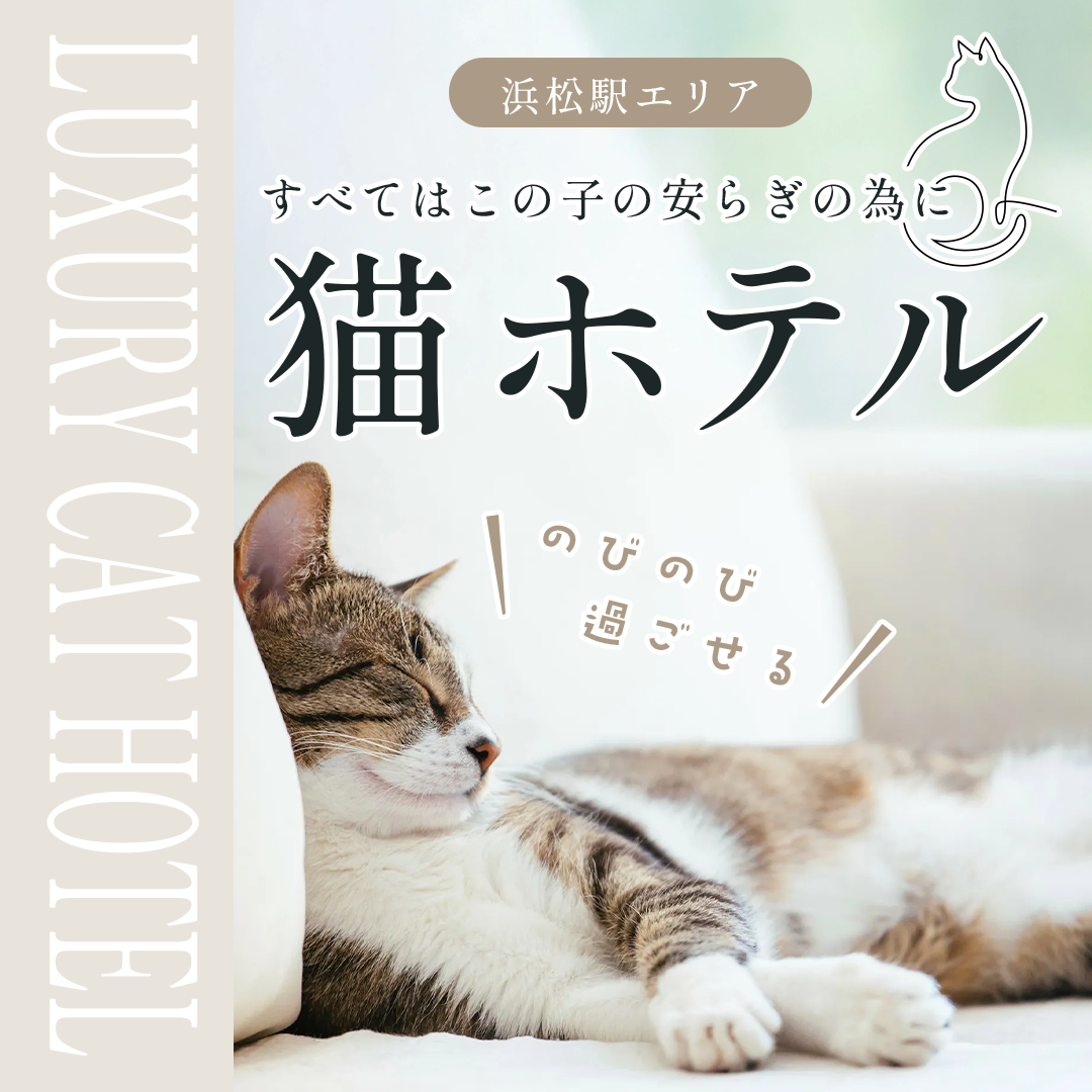 popup_banner